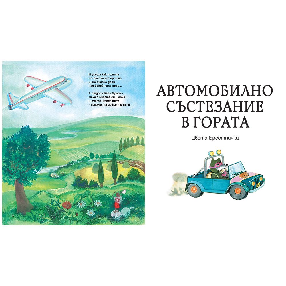 Горската аерогара, Автомобилно състезание в гората