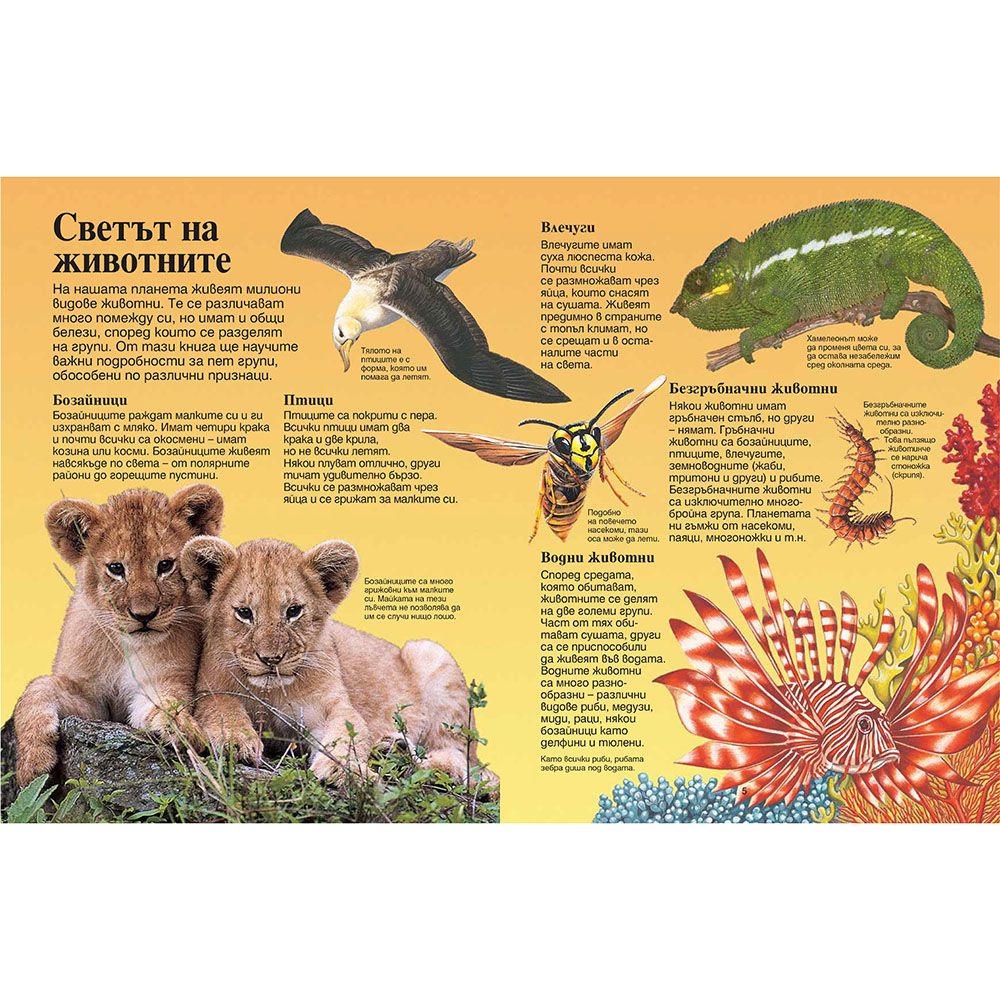 Моята първа енциклопедия за животните