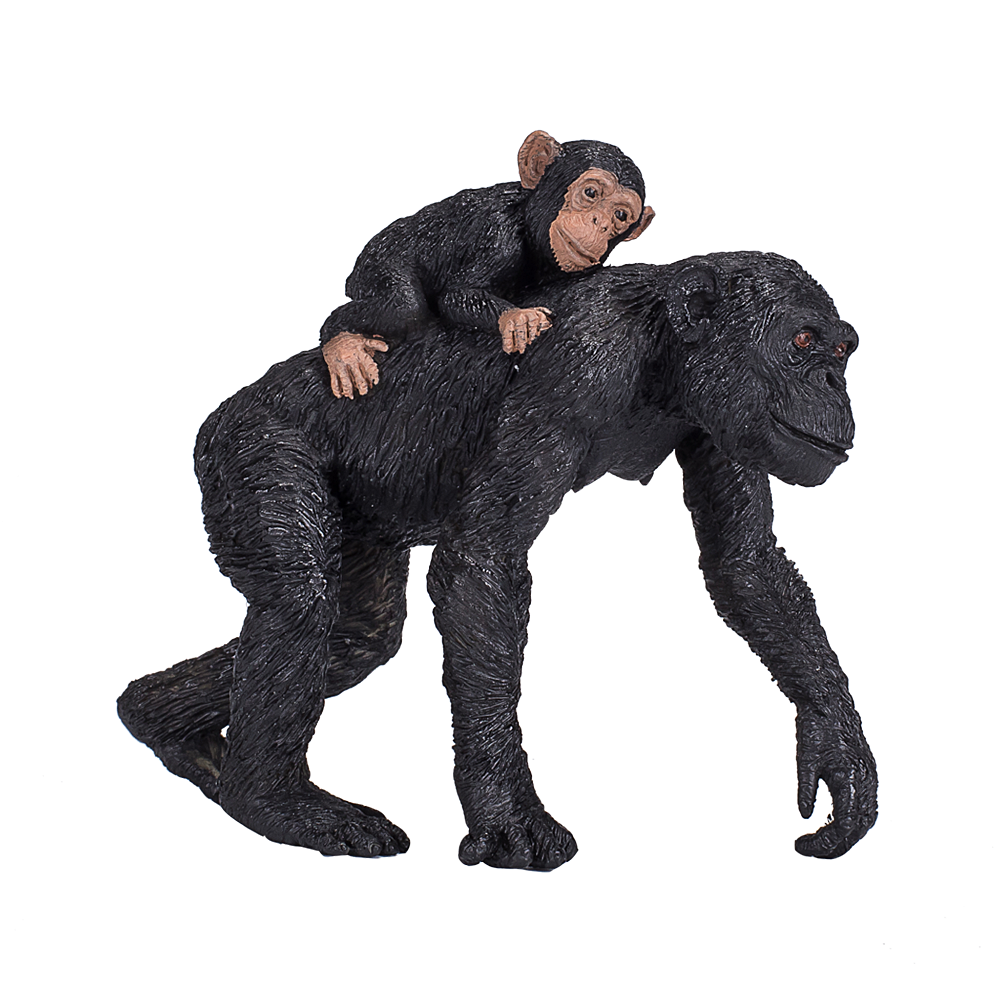 Шимпанзе с бебе