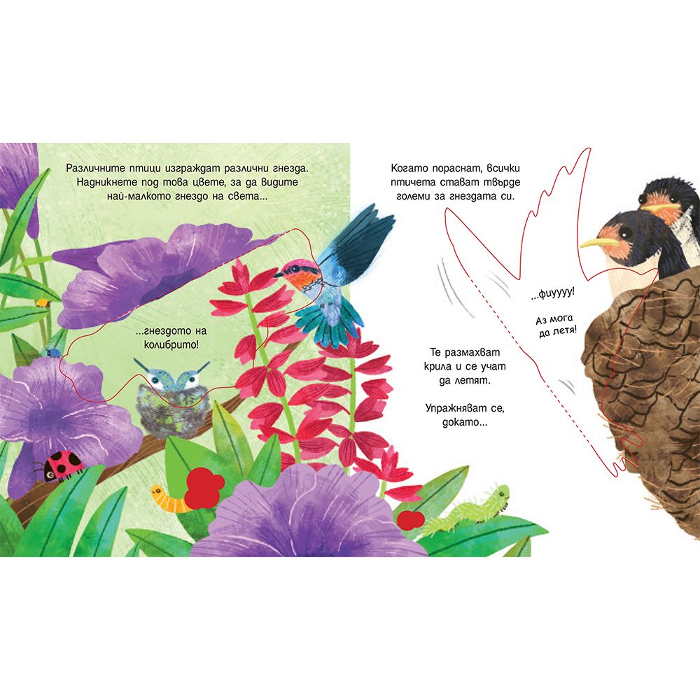 Гнездата на птиците