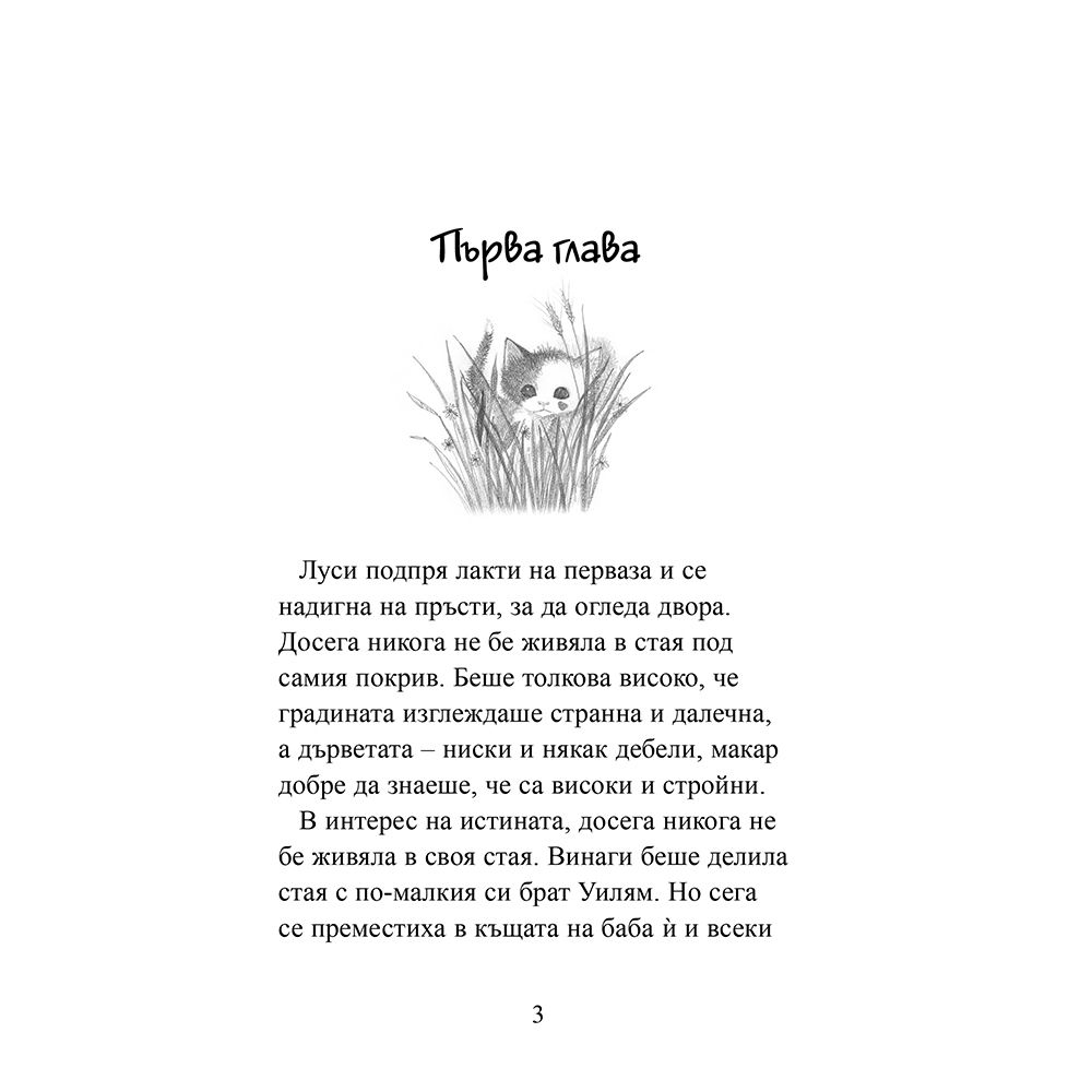 Тайното котенце