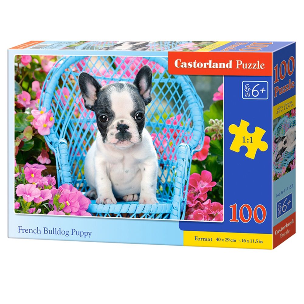 Castorland, Френски булдог бебе, пъзел 100 части