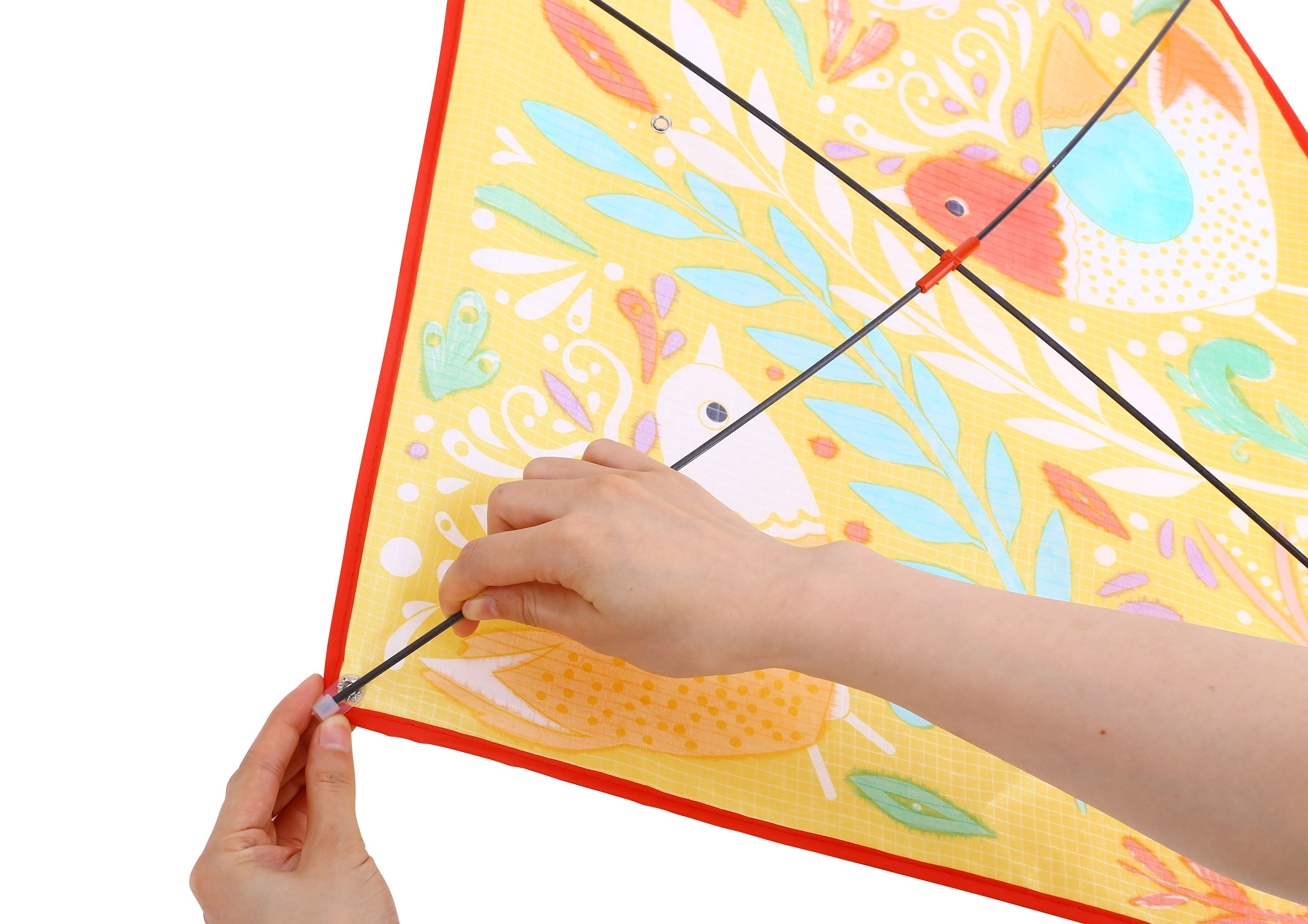 Хвърчило, Птици