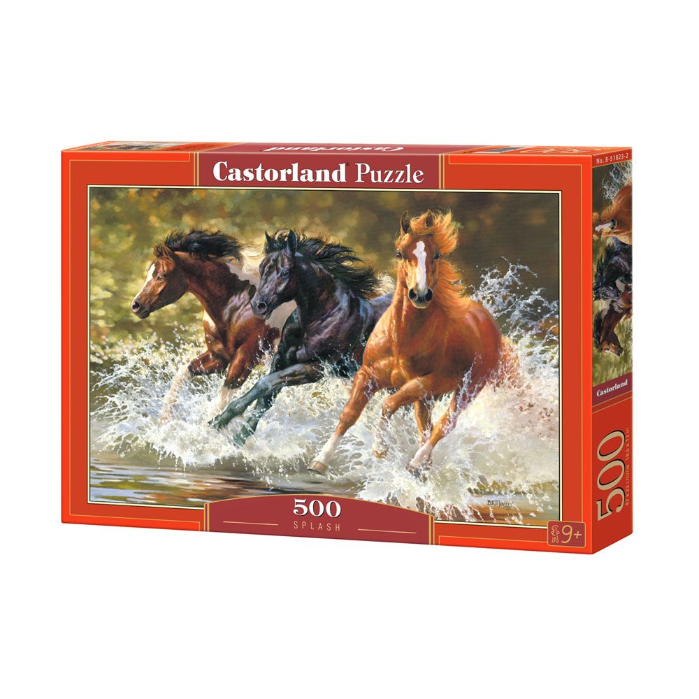 Castorland, Плясък, пъзел 500 части