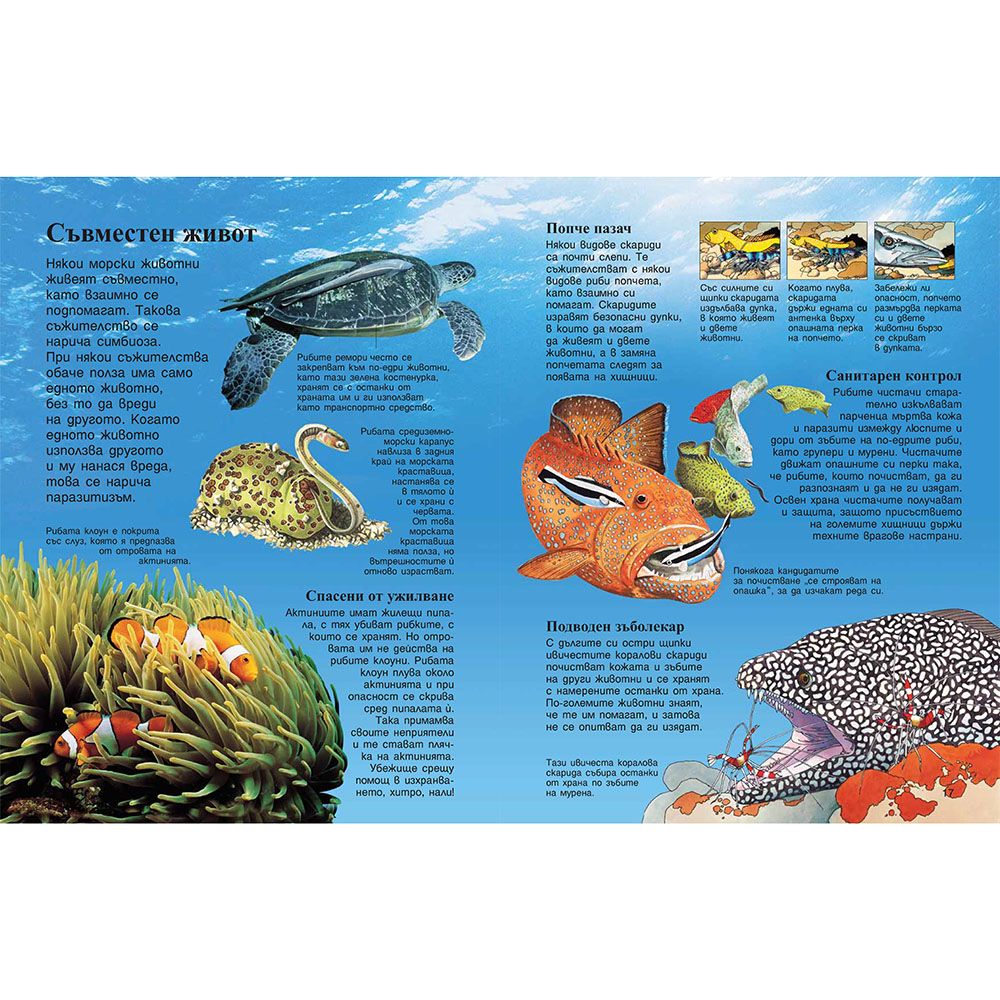 Моята първа енциклопедия за моретата и океаните