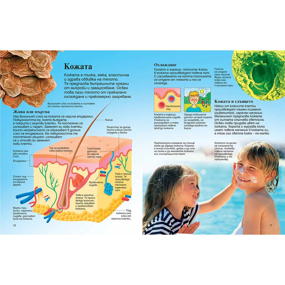 Моята първа енциклопедия за човешкото тяло