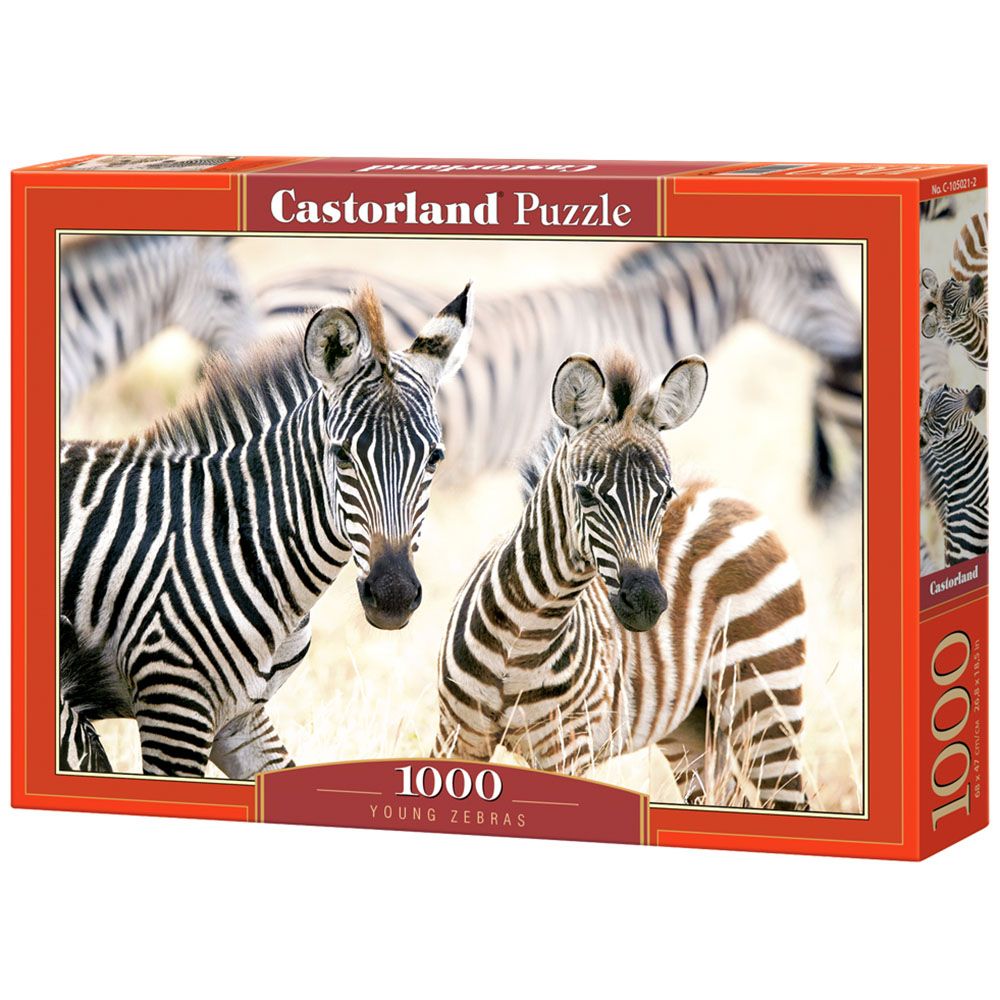 Castorland, Млади зебри, пъзел 1000 части