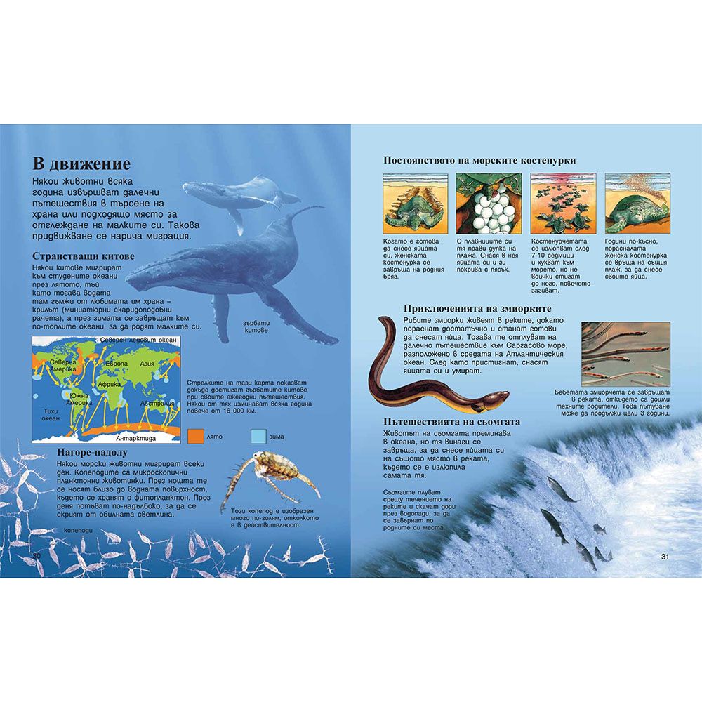 Моята първа енциклопедия за моретата и океаните