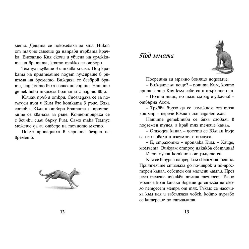 Тайнственият отмъстител