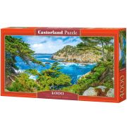 Калифорнийско крайбрежие, пъзел 4000 части