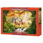 Кралско семейство, Абрахам Хънтър, пъзел 1000 части