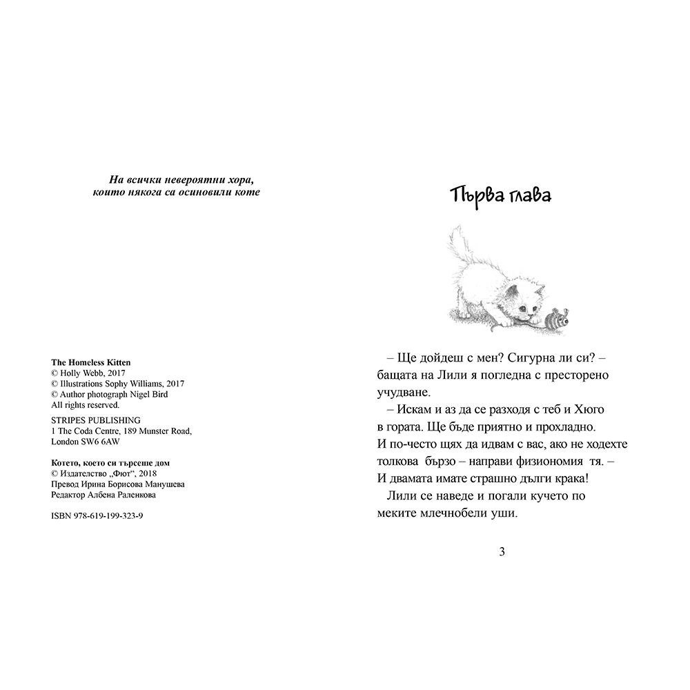 Котето, което търсеше дом