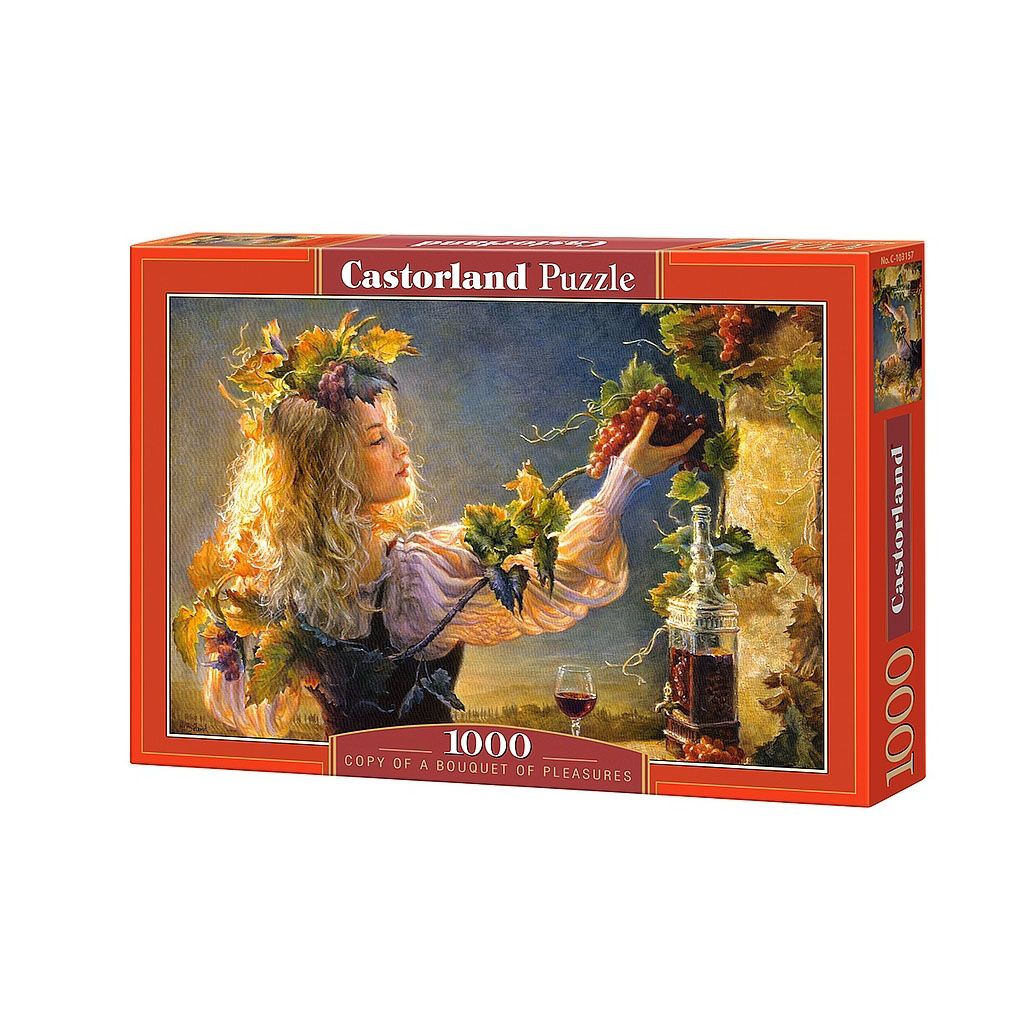 Castorland, Букет от наслади, пъзел 1000 части