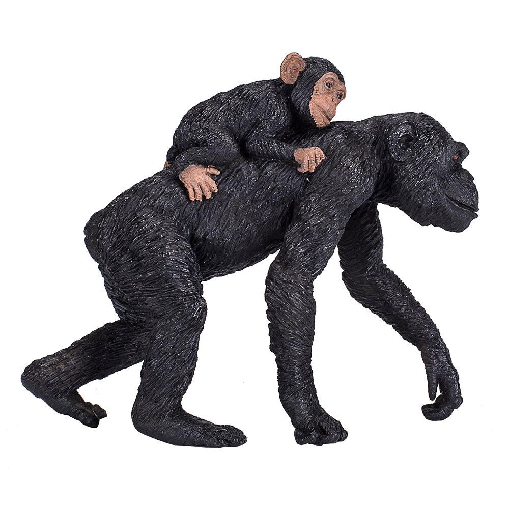 Шимпанзе с бебе