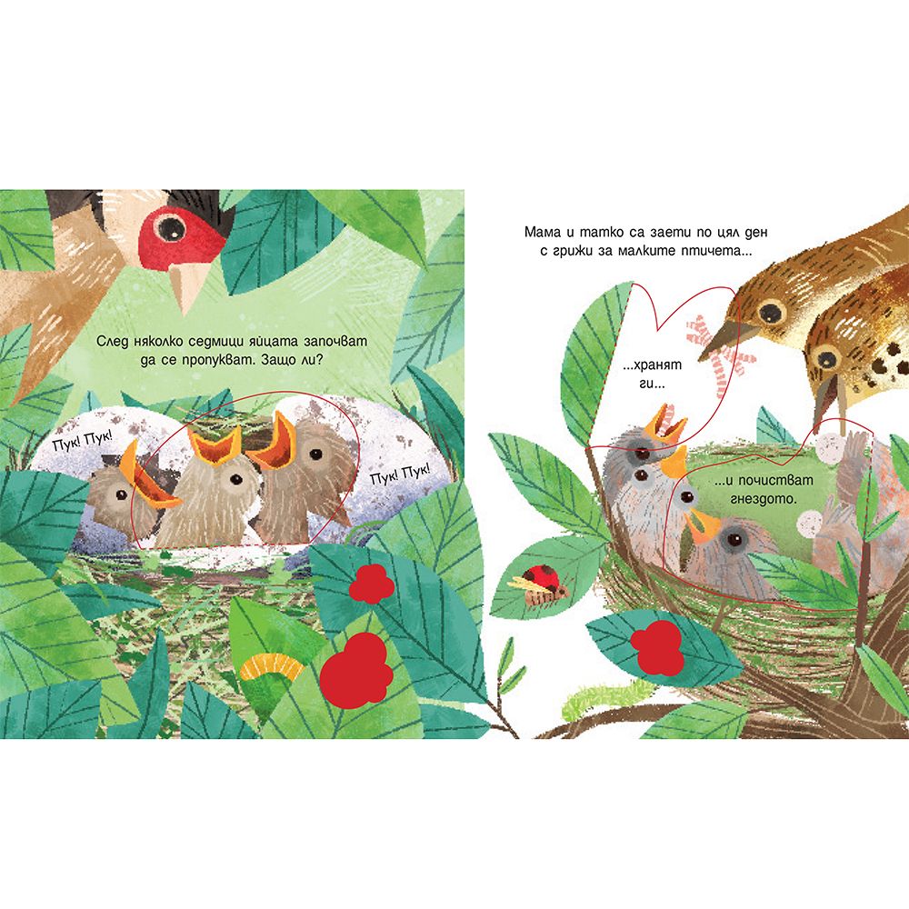 Гнездата на птиците