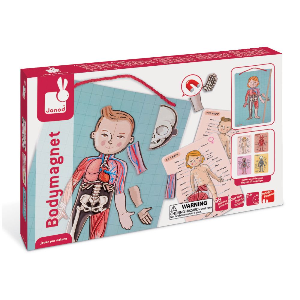 Магнитна игра, Анатомия на човешкото тяло