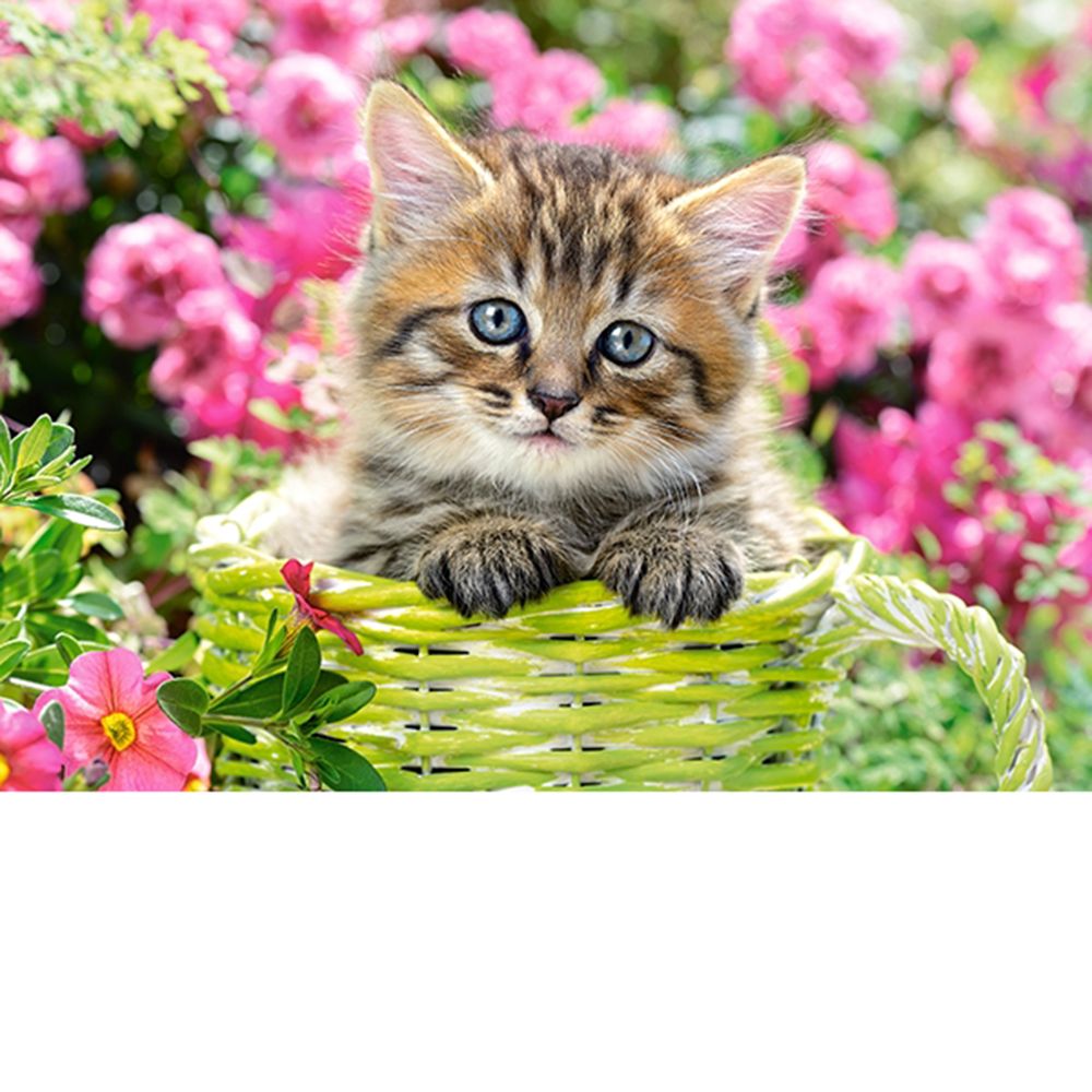 Коте в цветна градина, пъзел 100 части