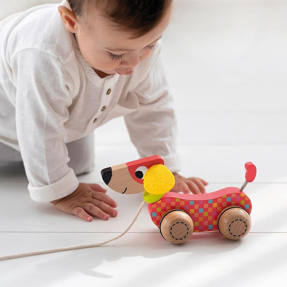 Играчка за дърпане, Куче Goula