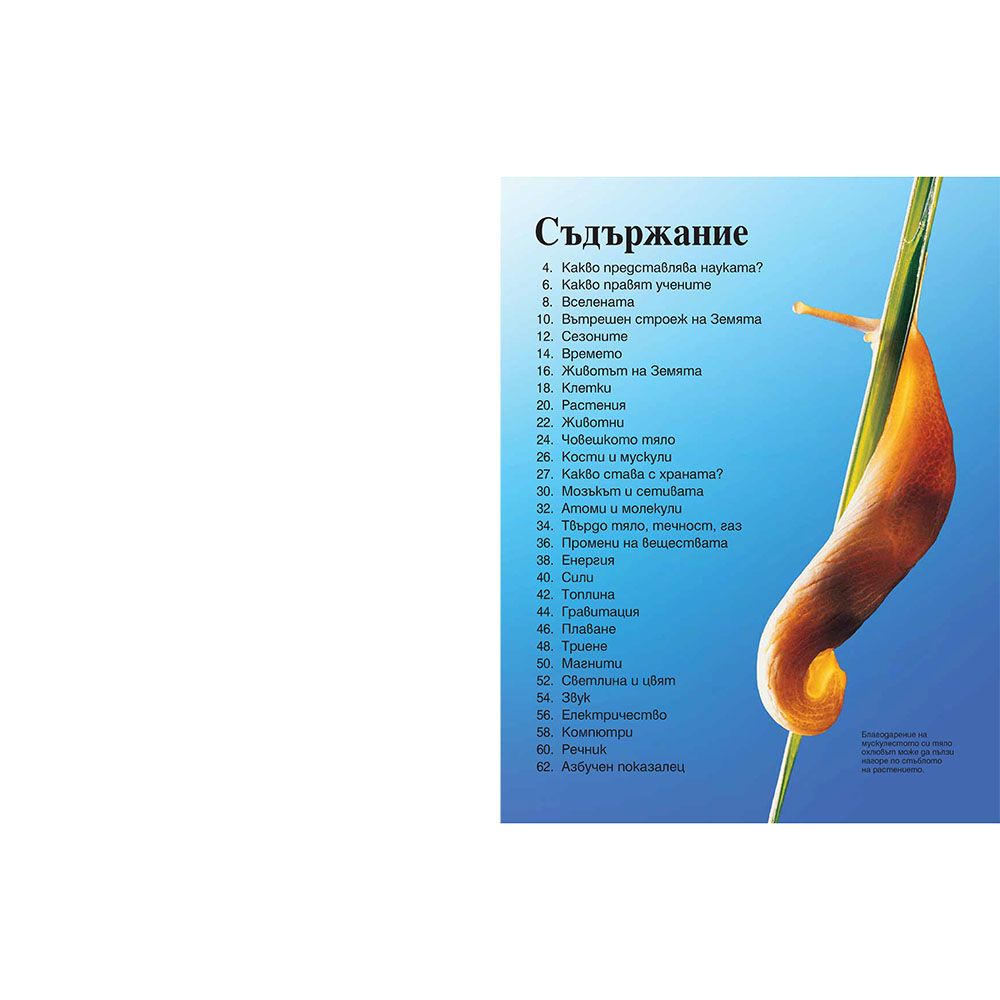 Моята първа енциклопедия за науката