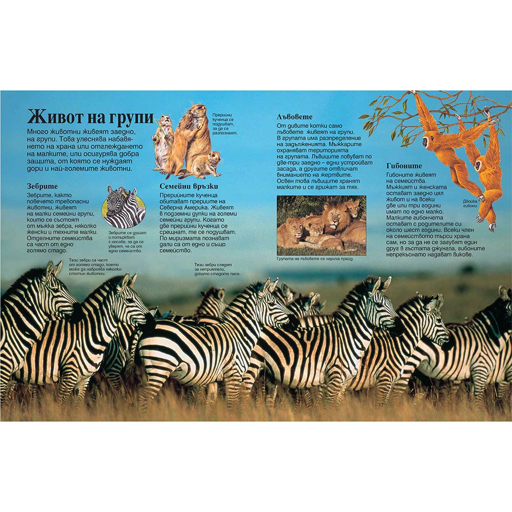 Моята първа енциклопедия за животните