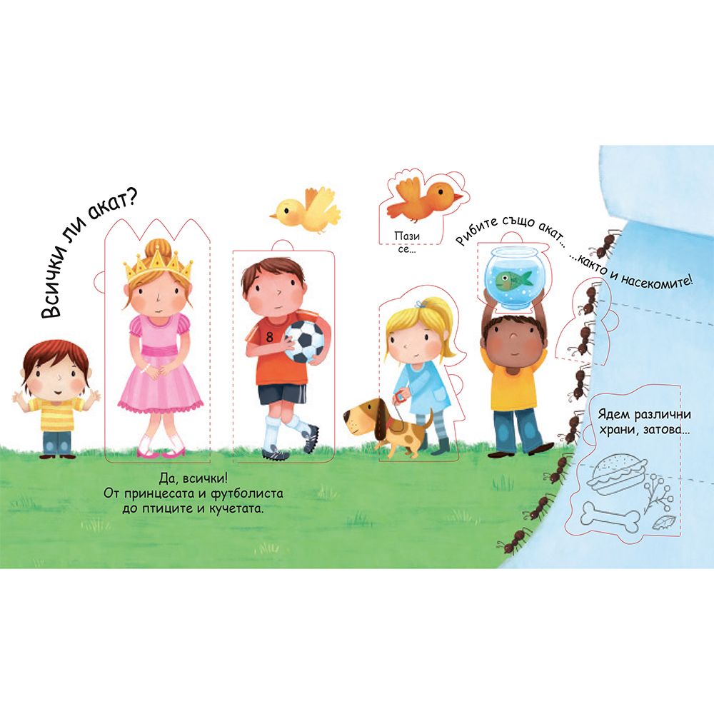 Какво е акото? Погледни под капачето!