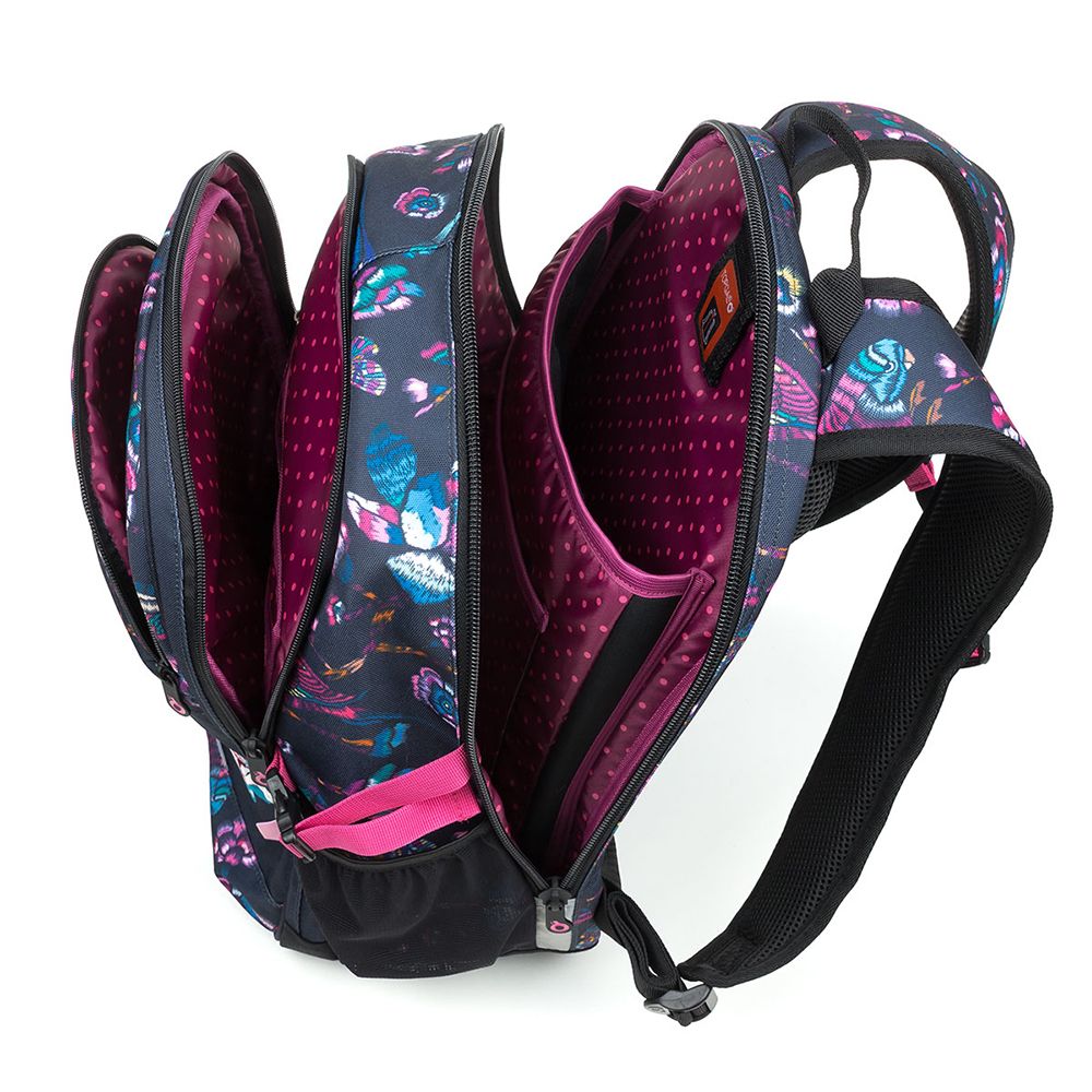 Анатомична ученическа раница, Пъстър свят