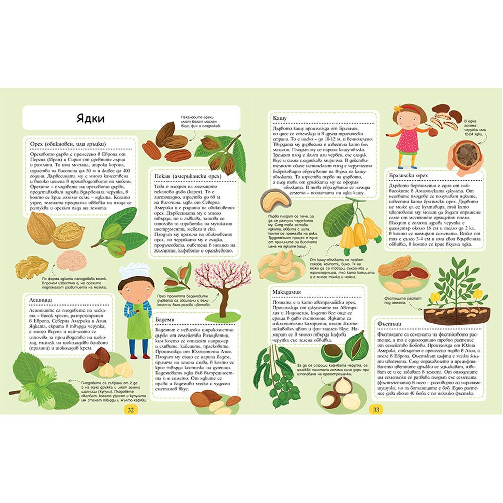 Растения, които ни хранят. Къде растат? Как се отглеждат? Как се приготвят?