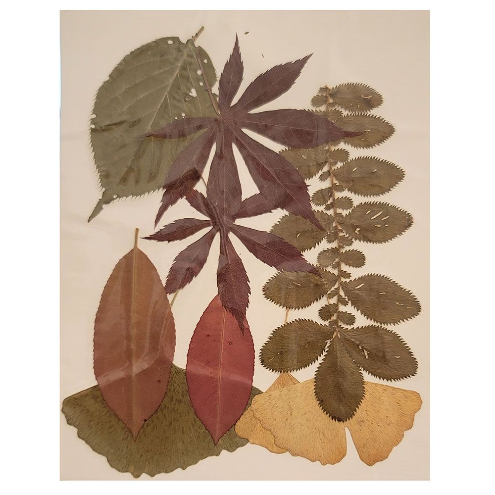 Колажи с листа