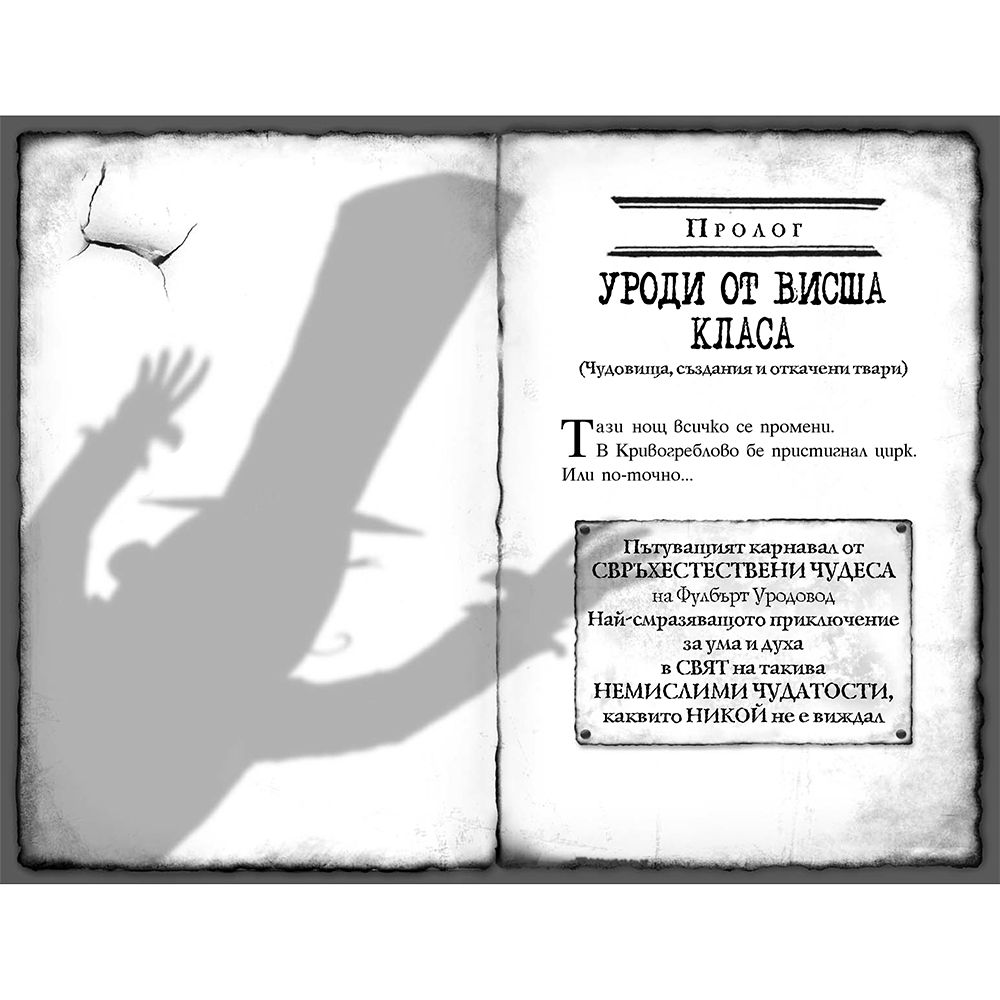 Кърпена глава, книга 1