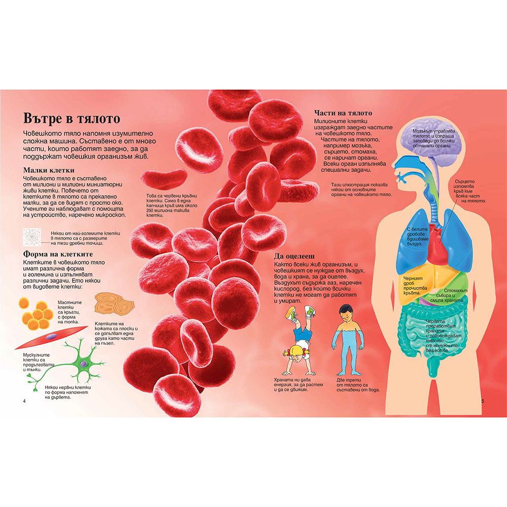 Моята първа енциклопедия за човешкото тяло