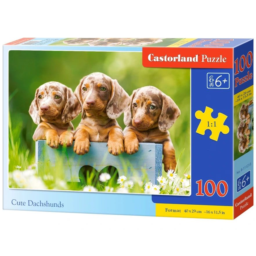 Castorland, Сладки дакели, пъзел 100 части