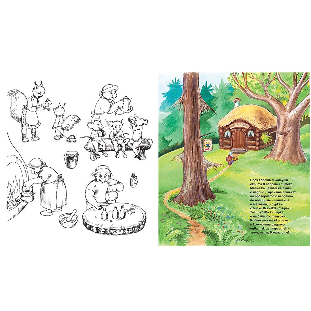 Горската аптека, Концерт в гората