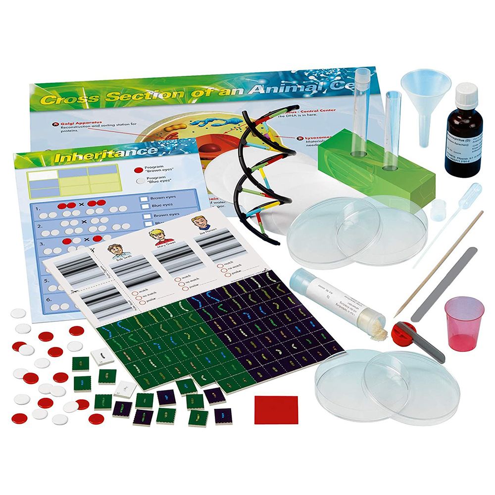 Комплект експерименти, Детска лаборатория за Генетика и ДНК
