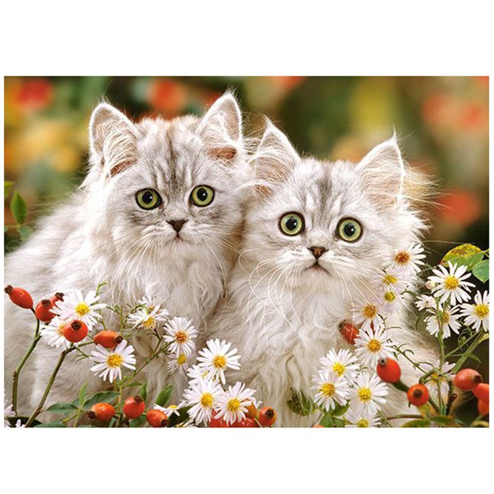 Персийски котета, пъзел 200 части