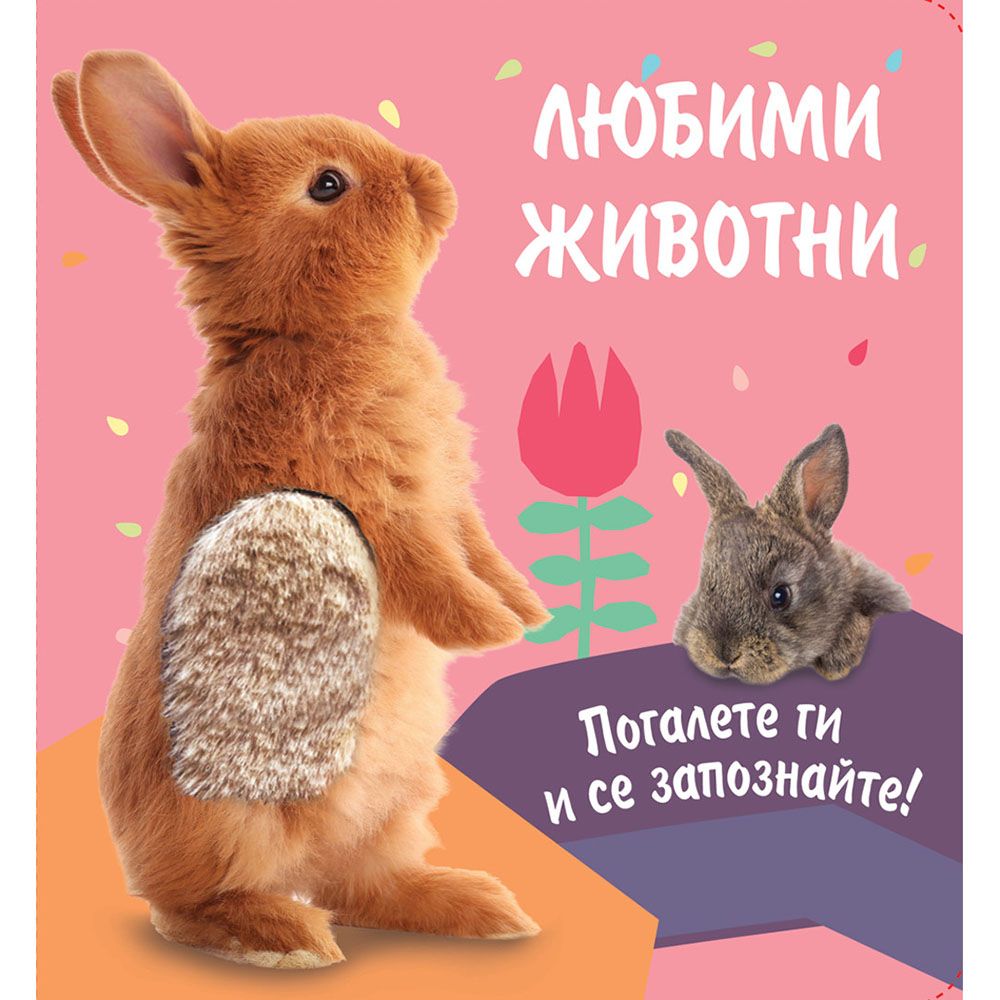 Погалете ги и се запознайте!, Любими животни, Зайче, Издателство Фют