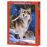 Страж, пъзел 1000 части