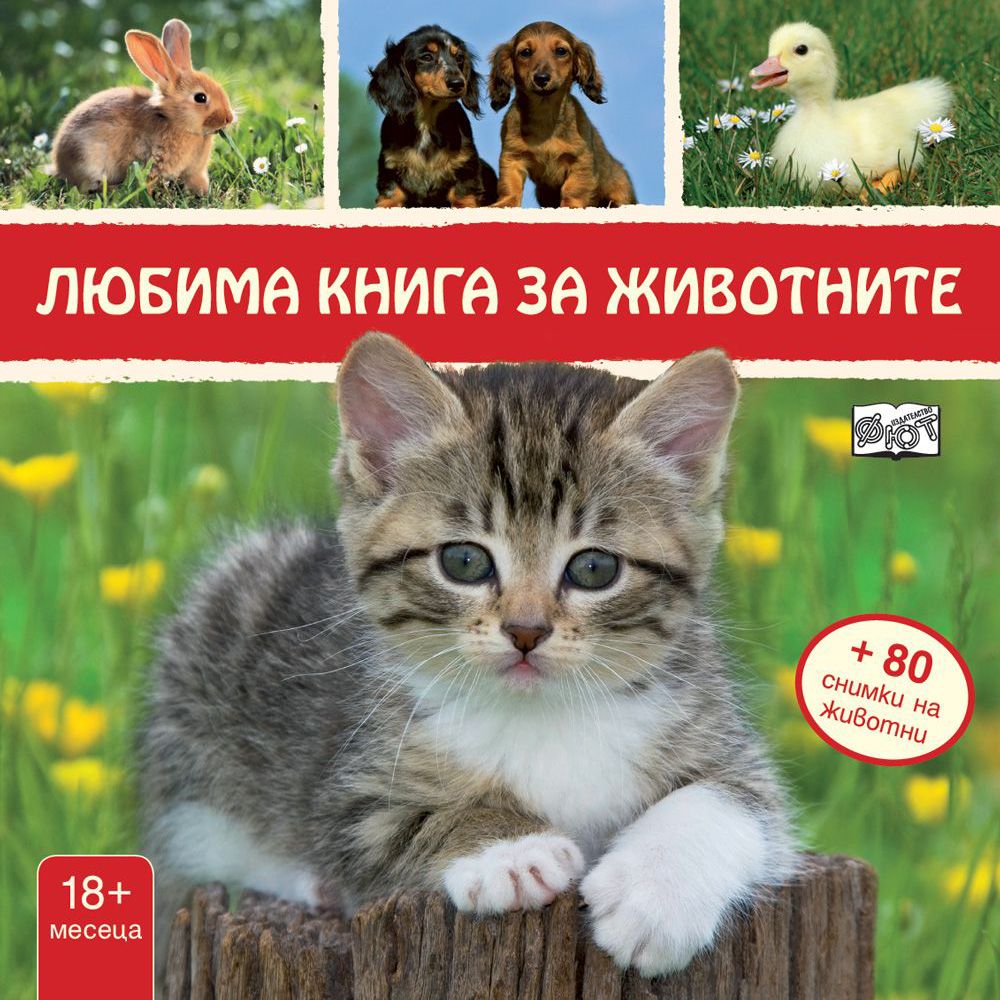 Издателство Фют, Любима книга за животните, Коте