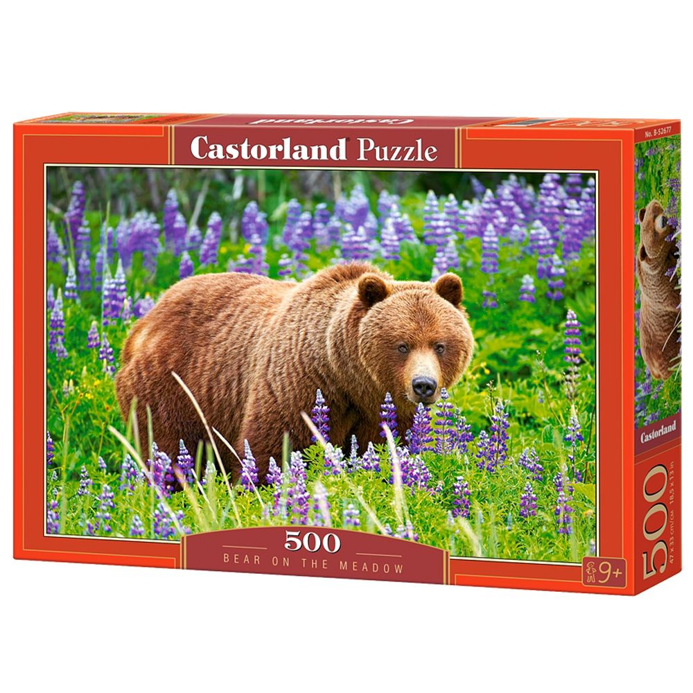 Castorland, Мечка на поляната, пъзел 500 части