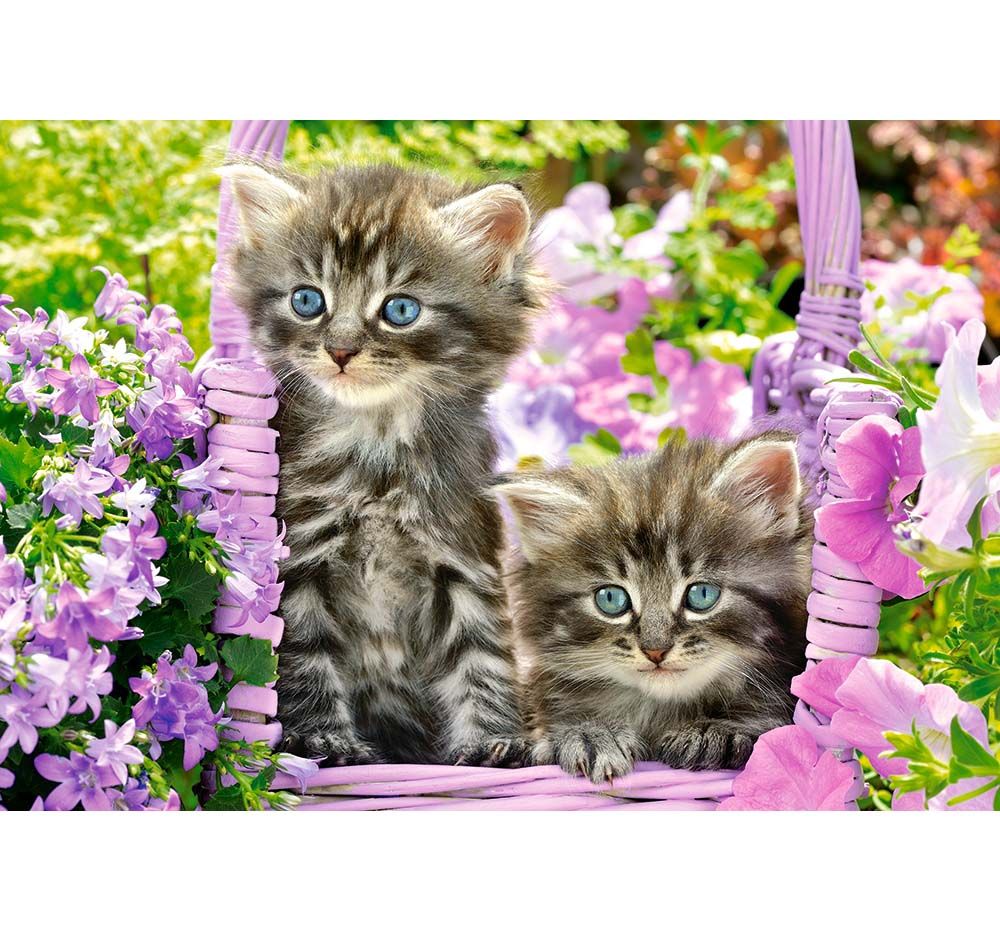 Котенца в лятна градина, пъзел 1000 части