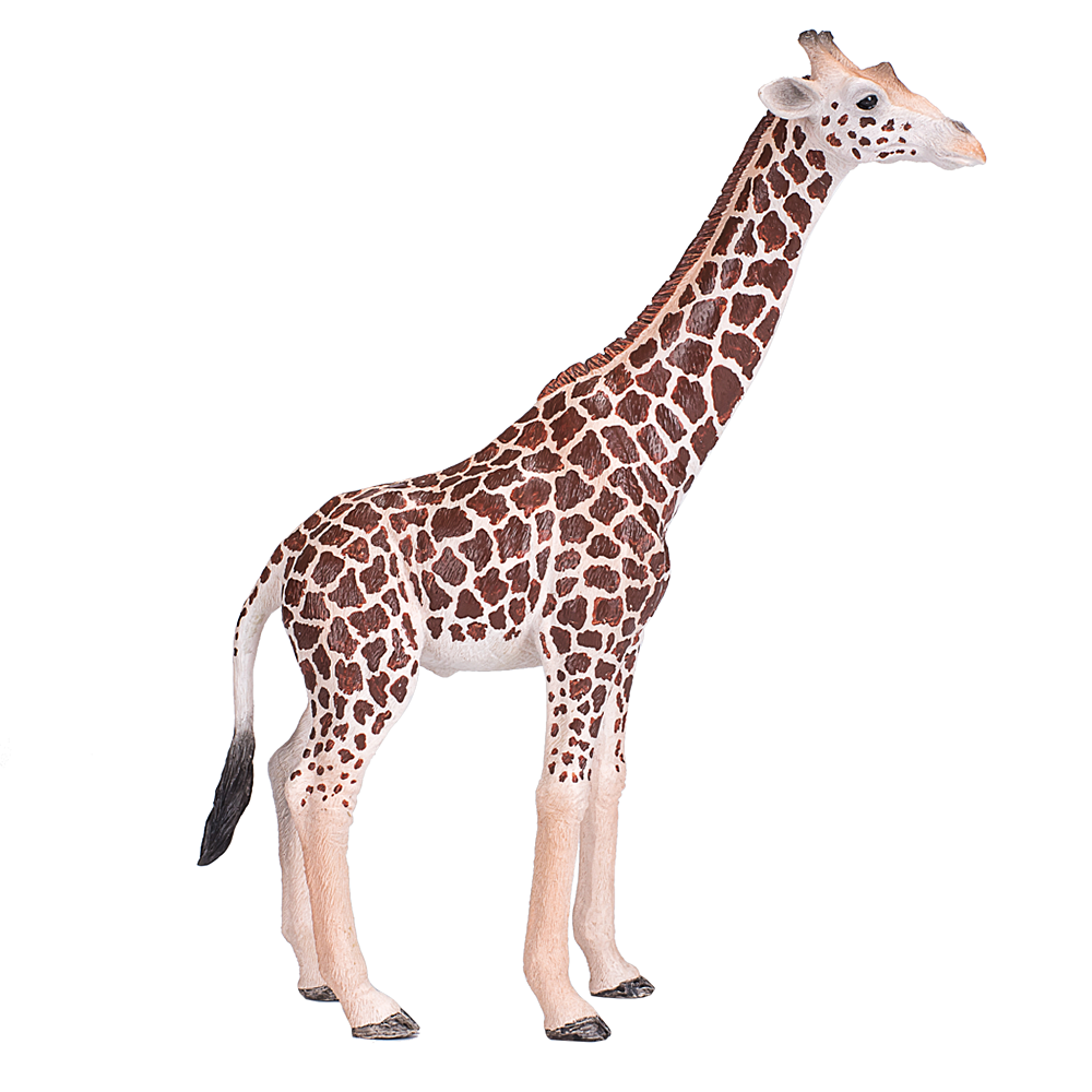 Mojo ANIMAL PLANET, Фигурка за игра и колекциониране, Жираф, мъжки