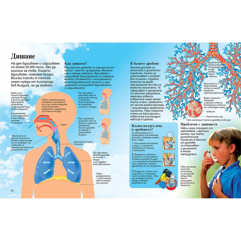 Моята първа енциклопедия за човешкото тяло