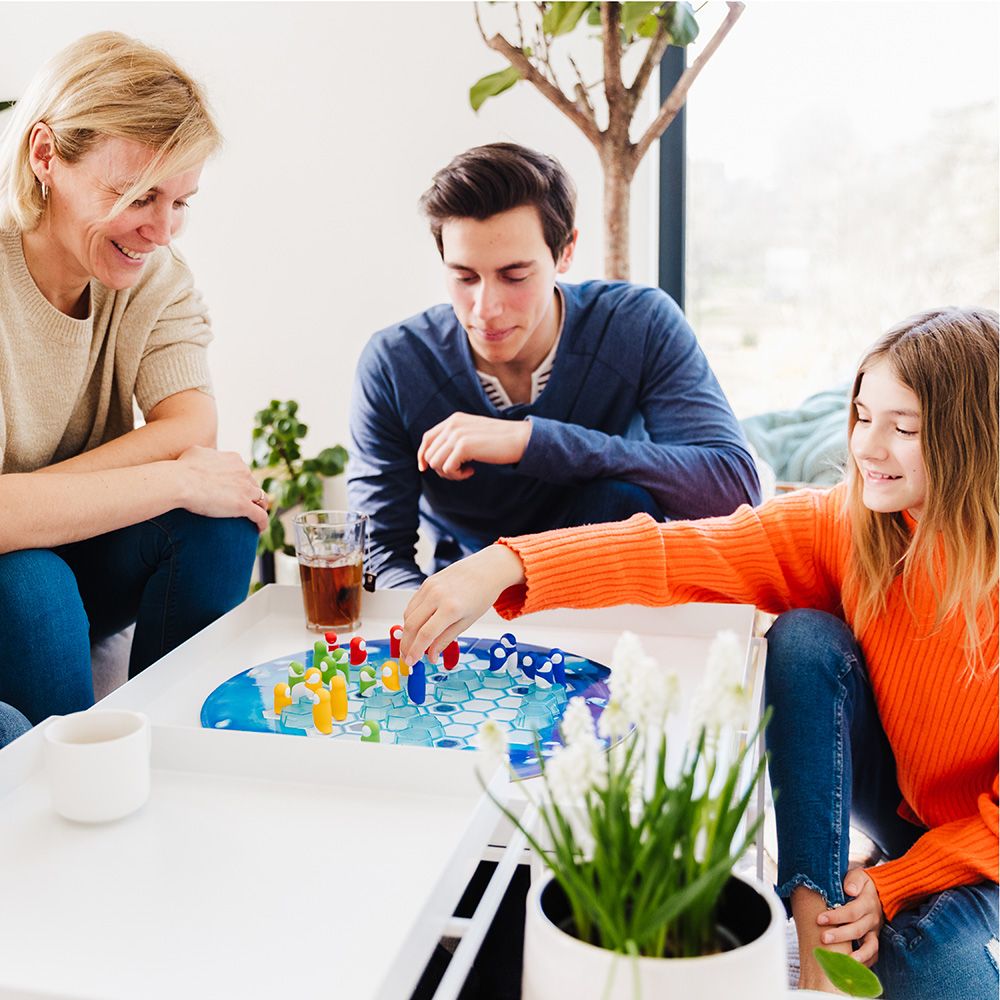 Логическа игра, Гушливи пингвини