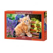 Рижаво котенце, пъзел 500 части