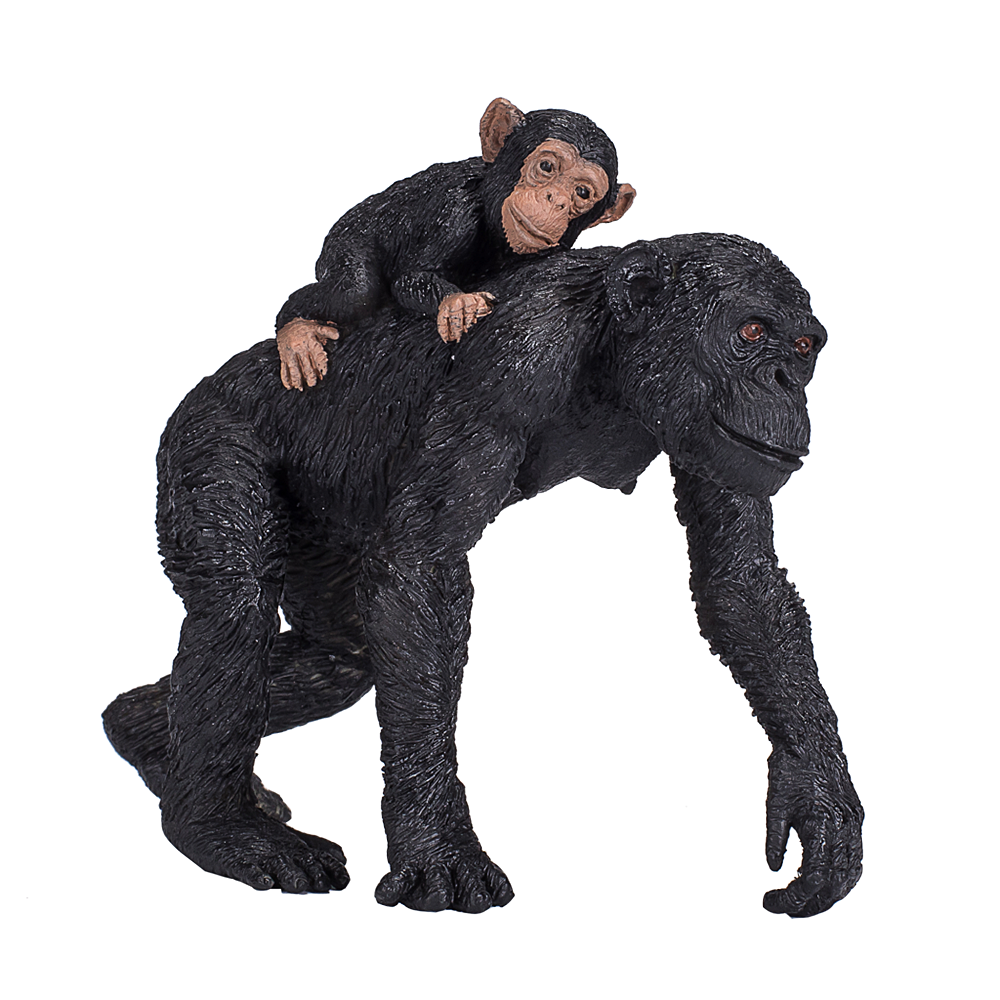 Mojo ANIMAL PLANET, Шимпанзе с бебе