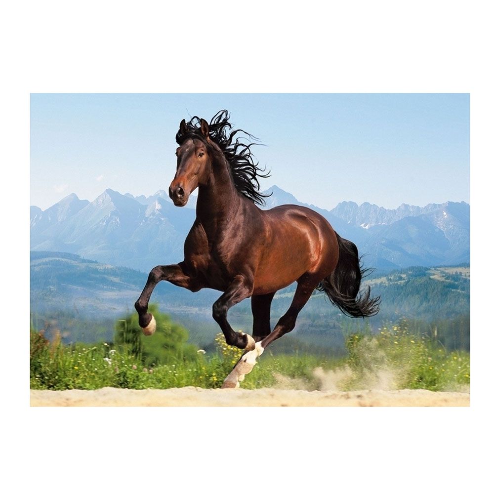Галопиращ андалусийски кон, пъзел 1500 части
