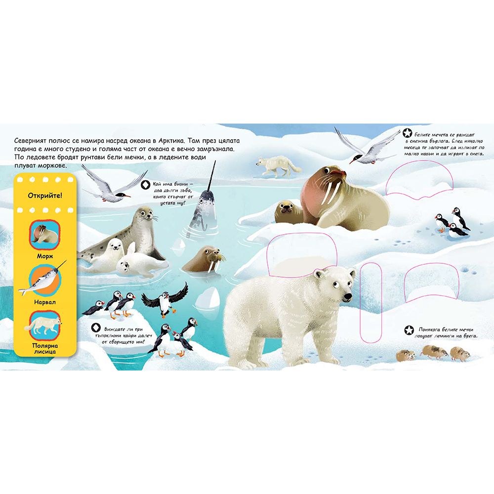 Животни сред снеговете