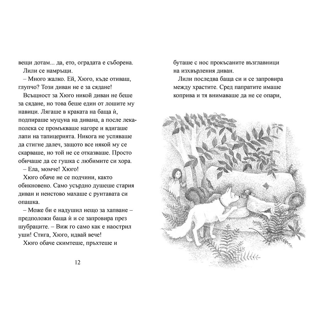 Котето, което търсеше дом