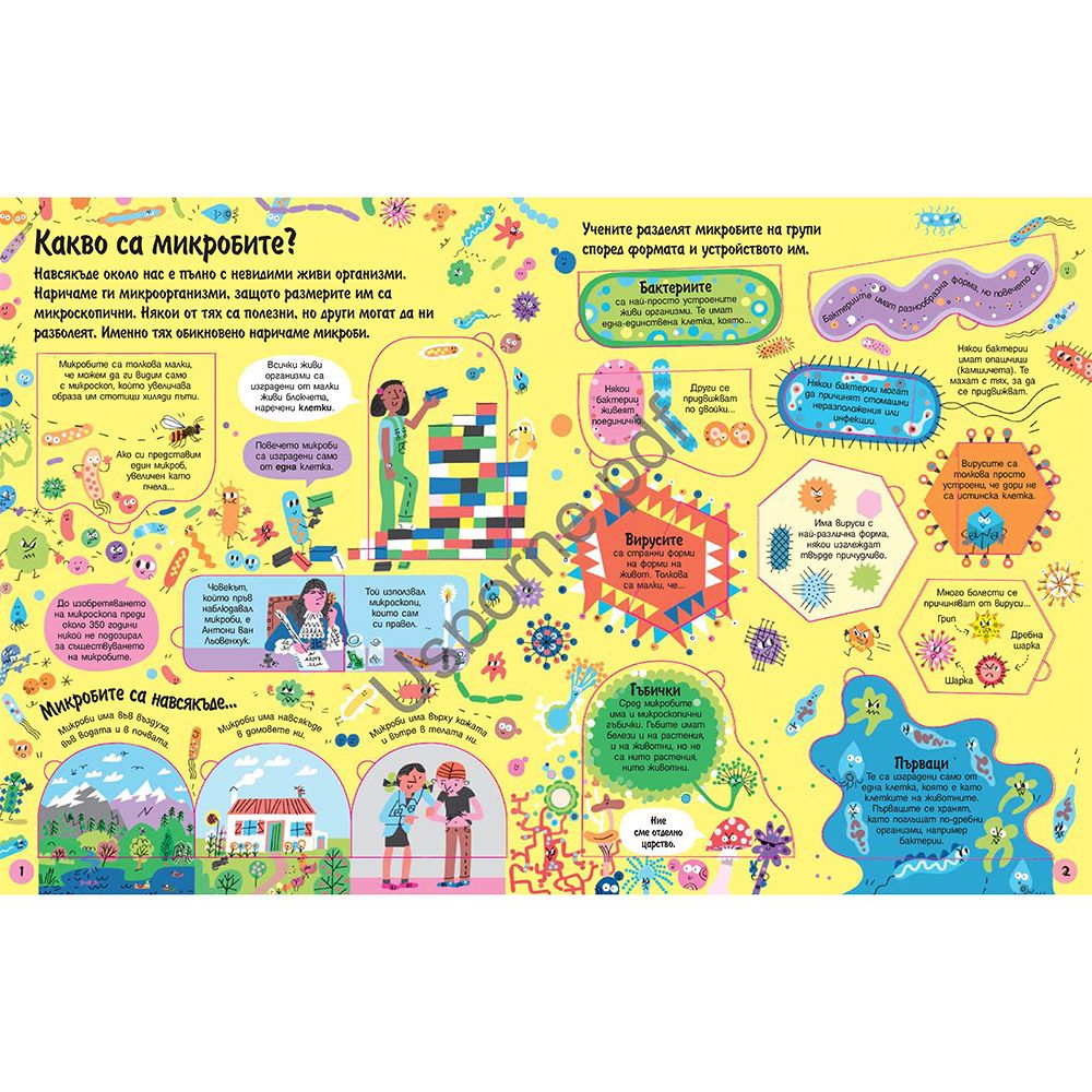 Разгледайте отвътре! Микробите