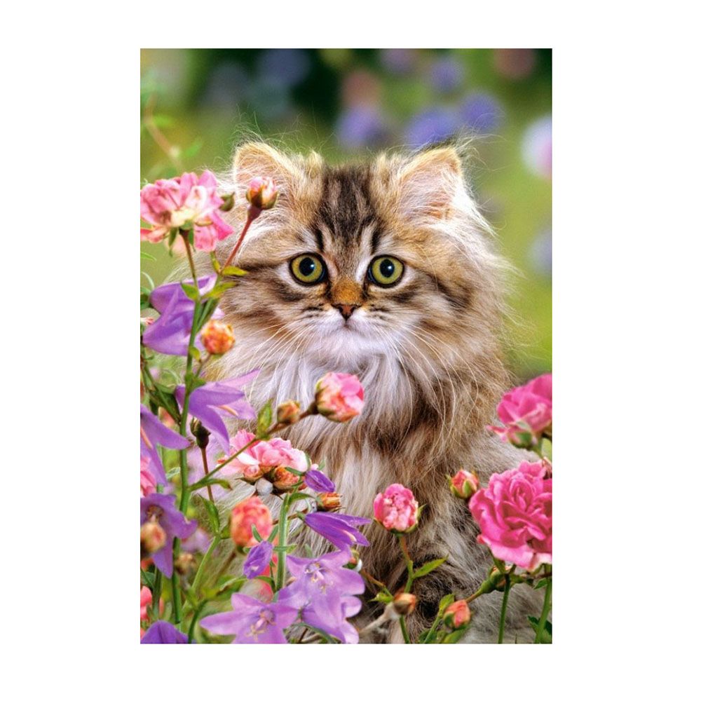Котка, пъзел 1500 части