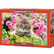 Котенце в градината, пъзел 500 части